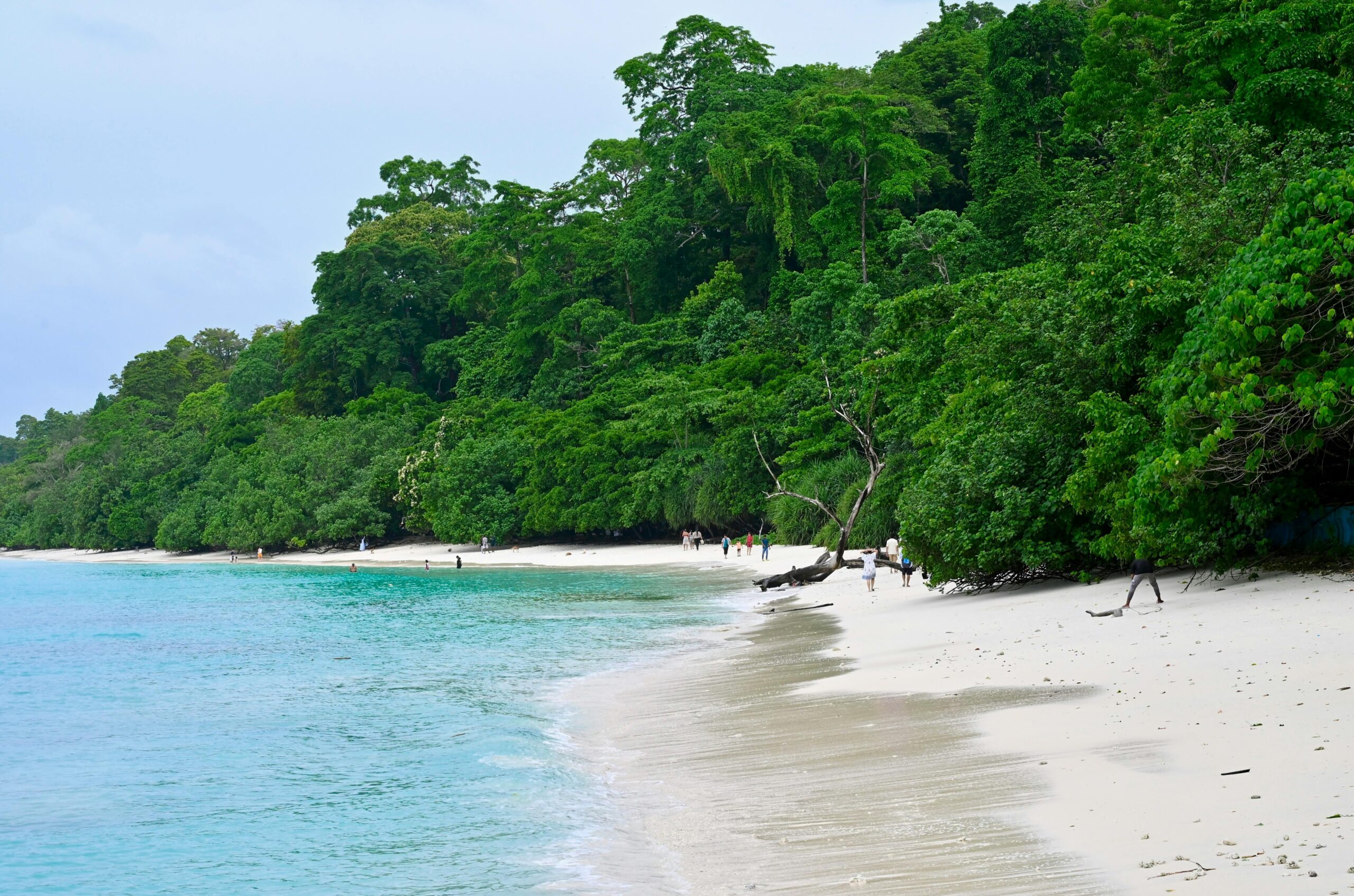 Andaman & Nicobar islands