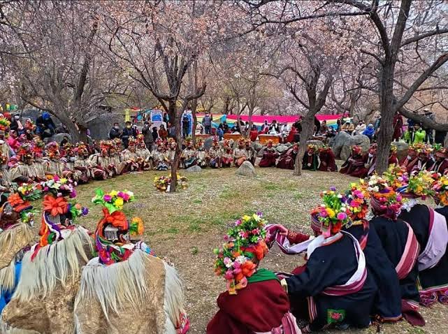 Apricot Blossom Festival 