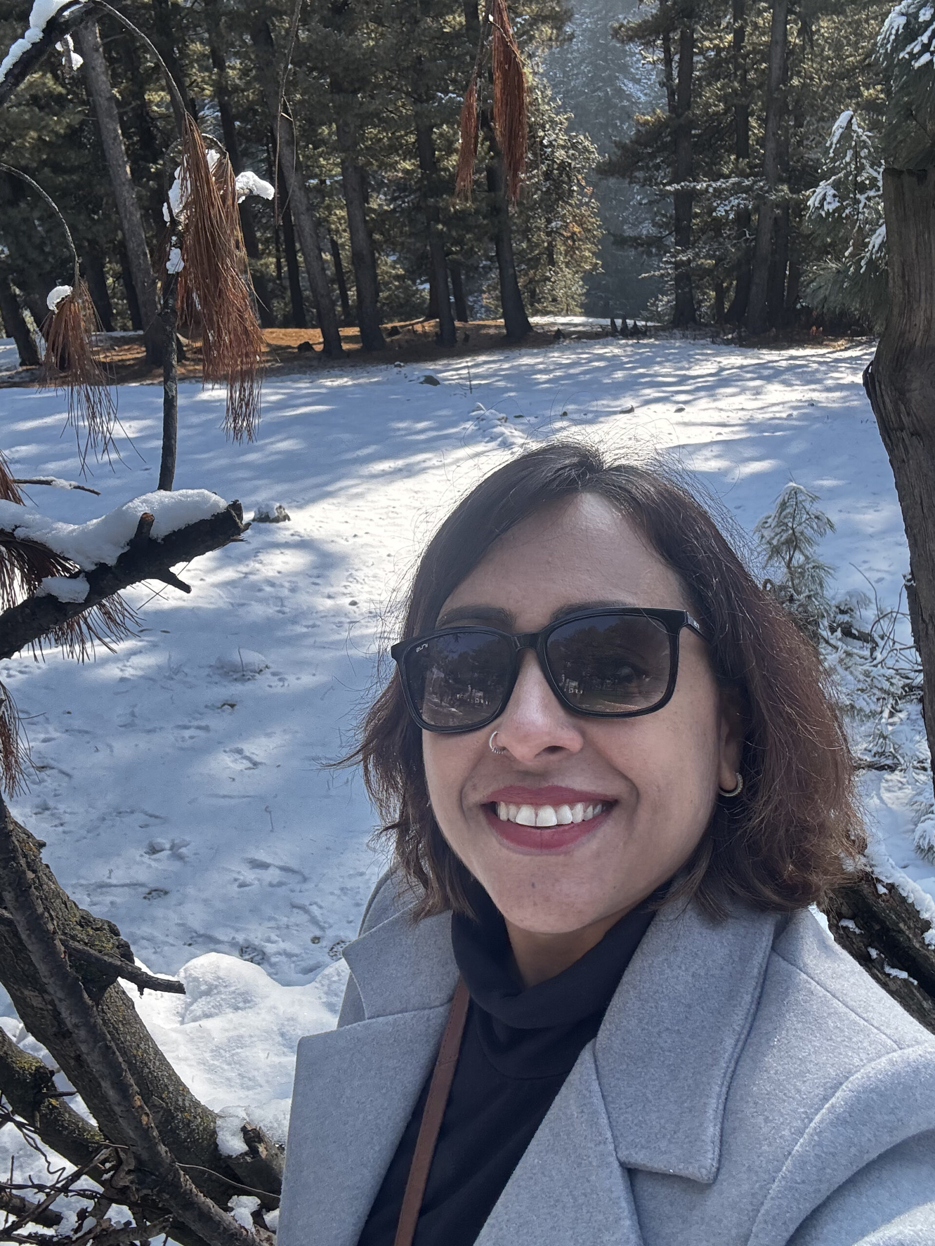 Winter Kashmir