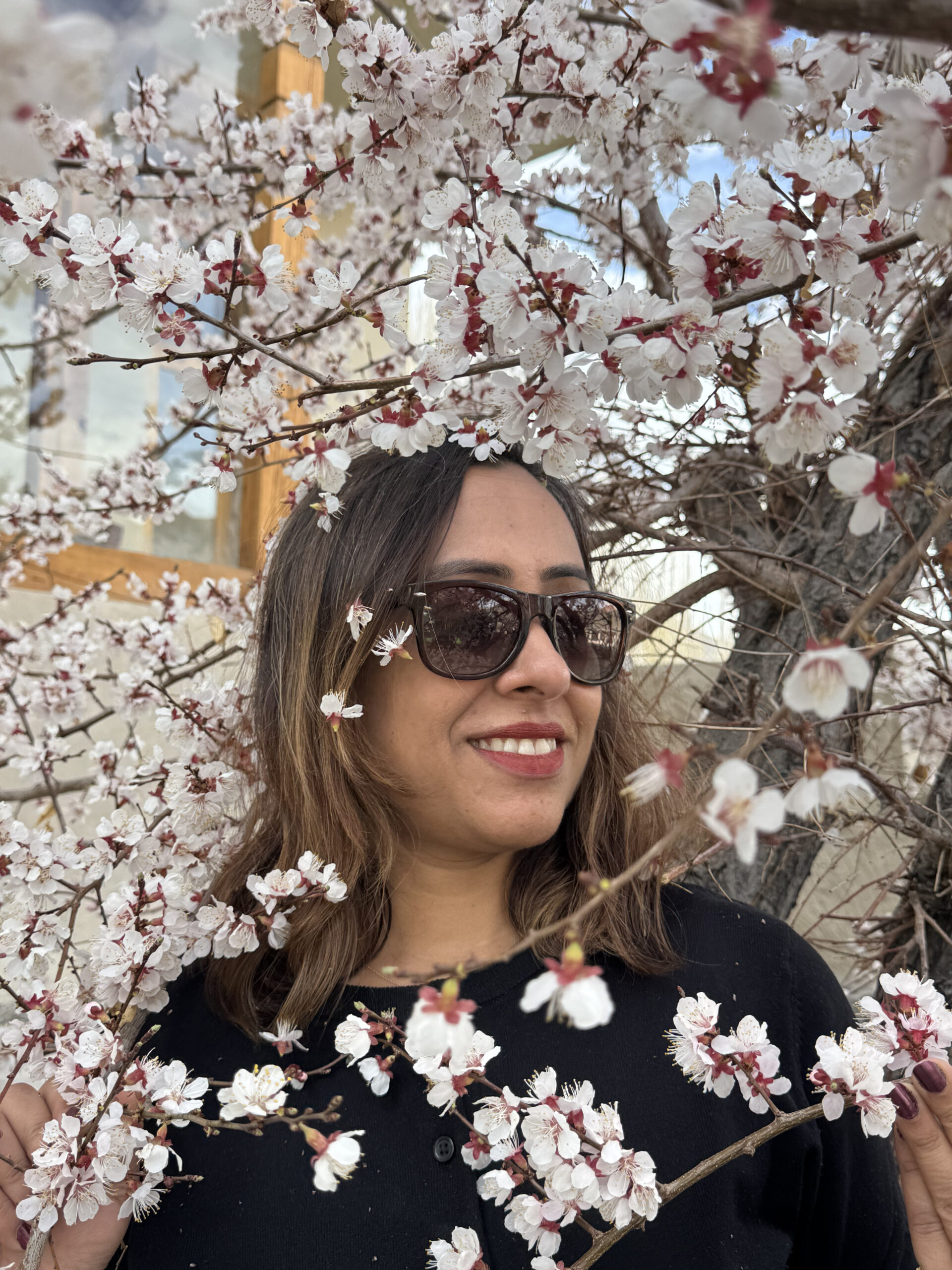 Apricot Blossom Festival 
