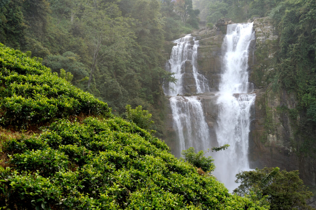 Coorg, Karnataka