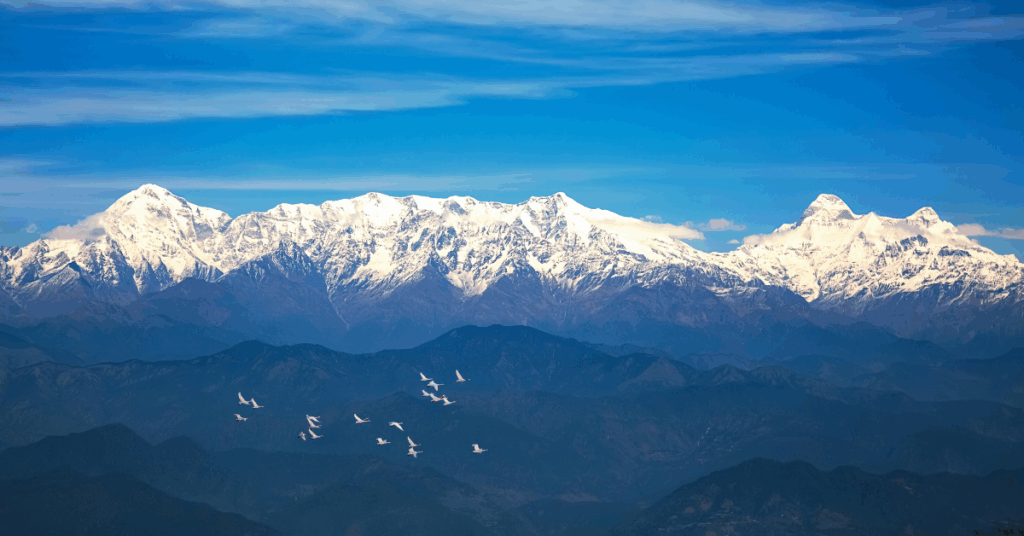 Binsar