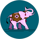 Aninda profile picture